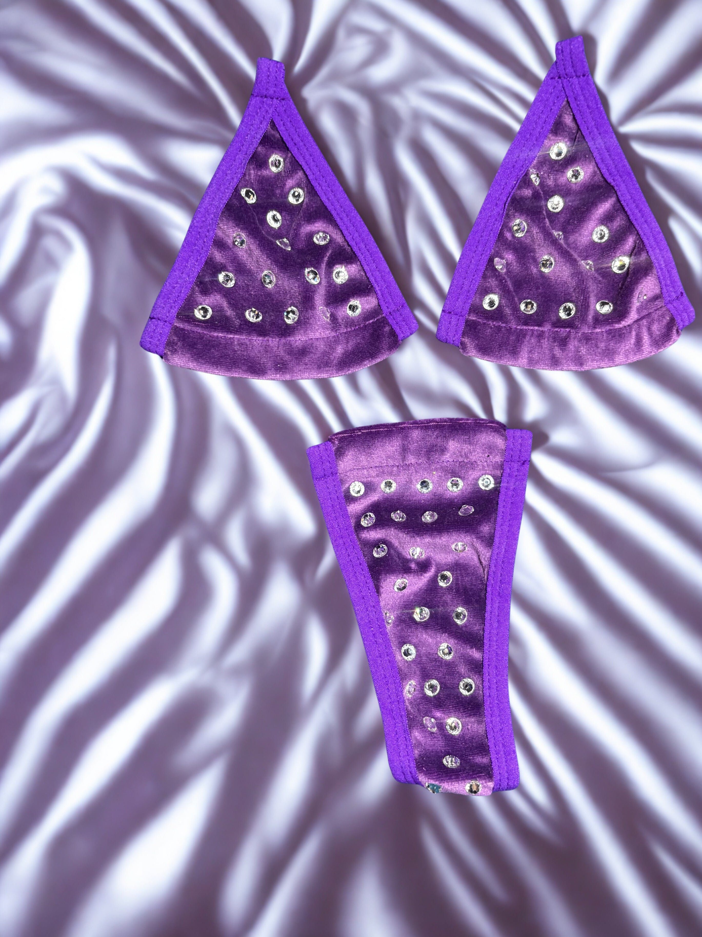 Purple Velvet Rhinestone Microkini